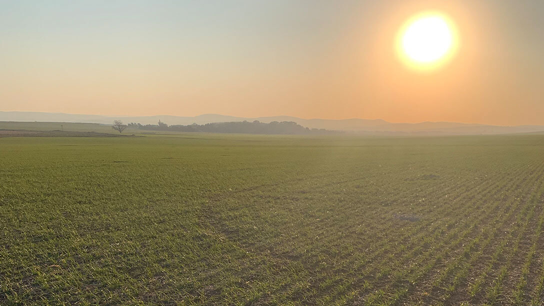 Agricultura